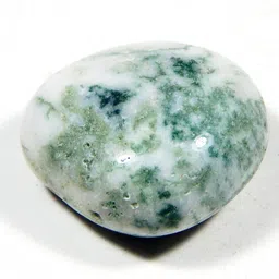 Tree Agate 42.9Cts 1pcs stone Regular Asymmetrical Crystal Stone-image-8