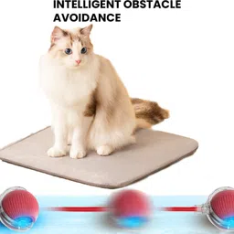 decorvaiz Rubber Ball For Dog & Cat image 5