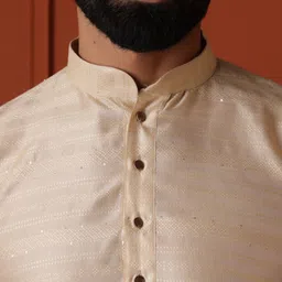 Lightpole Striped Woven Design Mandarin Collar Thread Work Straight Kurta image 4