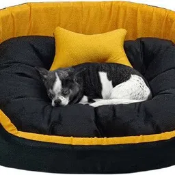 havens dream Dog Bed, Sofas Bed & Chairs Bed With Haddi XXL Pet Bed-picture-31