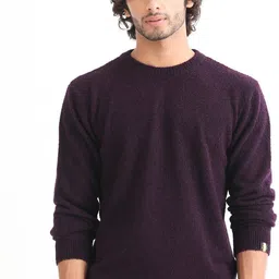 rare rabbit Men Solid Round Neck Purple Sweater-picture-11