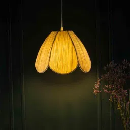 ashni Fermo Daisy Off White Natural Fiber Hanging Light-picture-16