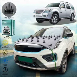 frap Force One Body Cover image 1