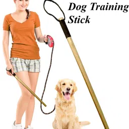 jainsons pet products Dog Training Wooden Stick Length 30 inch/ 2.5 Feet, Useful for Walking & Traning Wooden Stick, Training Aid For Dog image 3