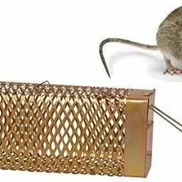 jsml Rat Mouse Iron Cage Trap Set Of 1 Medium Live Trap image 4