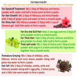 glow lush Herbal Hair Pack of Amla,Reetha,Shikakai,Bhringraj,Hibiscus powder(50gm Each) image 2