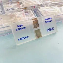 new life care india Standard Slide image 2