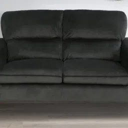 casacraft from pepperfry Volkach Velvet 2 Seater Sofa In Steel Grey Colour image 1