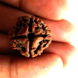 jangrabro 4 Mukhi Rudraksha Natural Lab Certified (100% Original) Wood Locket image 4