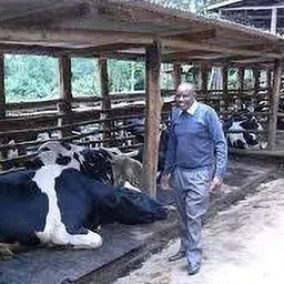 ursus Long Lasting BPA Free Waterproof Cowmats With Premium Quality Cow, Dog, Guinea Pig, Hamster, Miniature Pig Pet Mat image 3