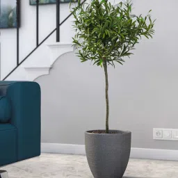 planters Iraka Small Grey Polymer Floor Planter image 1