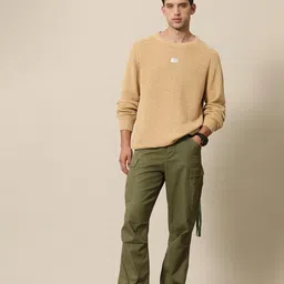 mr bowerbird Men Self Design Round Neck Brown Sweater image 4