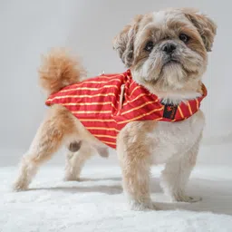 pawgy Tuxedo for Dog, Cat image 1