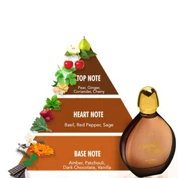 CFS Cargo & Chocolate Fantasy Set Of 2 EDP - 100ml each image 2