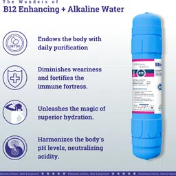 bioplus B12 Alkaline Water Filter for RO | Antioxidant, Taste Enhancer 11" Filter-Blue| Media Filter Cartridge image 3