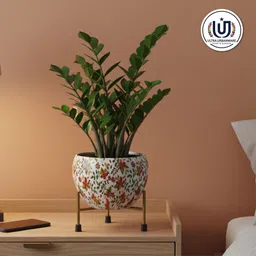 ultra urbanware Decorative Metal Flower Pot with Stand, Indoor Planter Bowl, Colourful Design Plant Container Set image 5