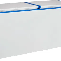 blue star 400 L Double Door Standard Deep Freezer-picture-19