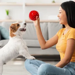 wagtalez Multicolour Spike ball Rubber Ball For Dog image 4