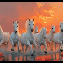 Wood Wall Photo Frame-image-71