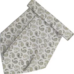 VOICI Mens Cravats Necktie Gold & Beige Color Cravat image 2