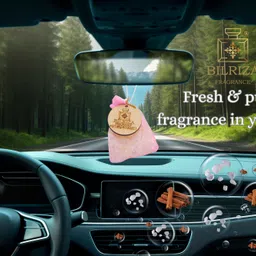 bilriza fragrance Amrit Kalash Car Freshener Blocks image 3