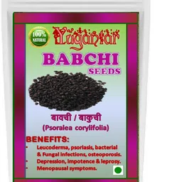 yugantar BABCHI Seed-picture-26