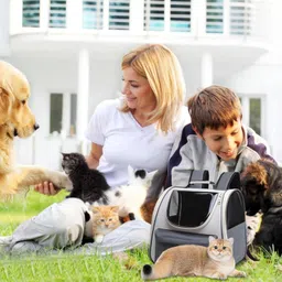 cloyster Cat Travel Pet Space Capsule Backpack Cat Supplies Cat Carrying Bag for dogs Cats, Space Capsule Pet Hiking backpack, Airline Approved Airline Pet Carrier image 4