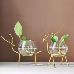 Propagation Station with Metal Frame Test Tube Glass Plant Holder for Home Decor Iron Vase-image-9