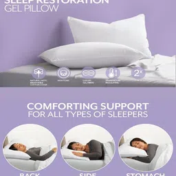 regnar Foam Solid Cushion Pack of 2 image 5