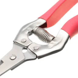 metrotools SCISSORS 8INCH 200MM FRUIT TREE FLOWER BRANCHES CUTTER STAINLESS STEEL PRUNING SHEARS HAND TOOLS Anvil Pruner image 3