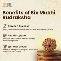 divine hindu 6 Mukhi Original Nepali Rudraksha Bead - Symbol of Divine Power Lab Certified Wood Pendant image 3