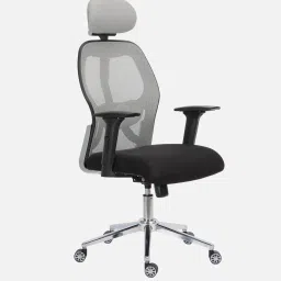 mintwud from pepperfry Matt Ergonomic Office Chair with Adjustable Lumbar Support and Headrest image 3