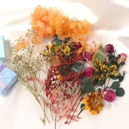 bolt bee Natural Dried Flowers Mix Multicolor Eucalyptus Artificial Flower with Pot image 3