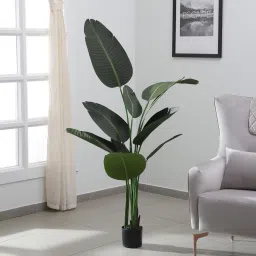 arick decor Banana Green Plastic Artificial Plant image 1
