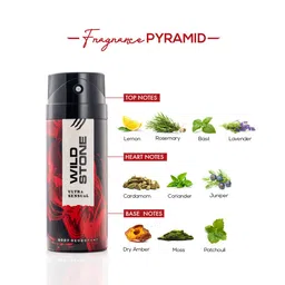 Wild stone Men Set of 2 Ultra Sensual Body Deodorants image 2