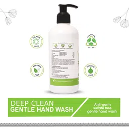 AYOUTHVEDA Deep Clean Gentle Hand Wash 300 ml image 5