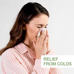 Nuerma Science Pure Basil Essential Oil - 15ml image 3