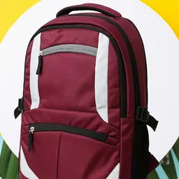 elcom Medium 30 L Laptop Backpack Spacious Bag For College with features of school bag for girls and trendy-picture-20