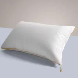 sleepycat Cloud Microfiber 27 x 18 Inch Pillow-picture-32