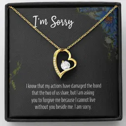 fabunora Thoughtful Sorry Gift for Her - 925 Pure Silver Necklace with Purity Certificate Cubic Zirconia Sterling Silver Chain image 1