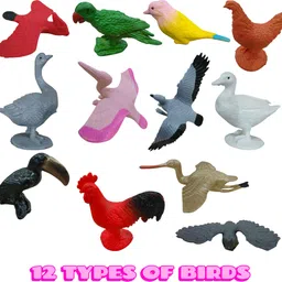 taka saki Birds toy figurine play set for kids mini small plastic rubber model children-picture-11