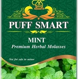 Premium Herbal Molasses MINT Hookah Flavor-image-16