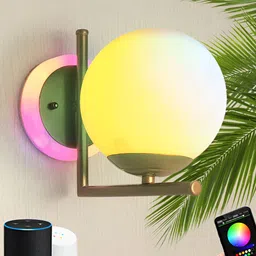 Raptors Gold-Toned Metal Abstract Shaped Shaped Wall Lamp-picture-42