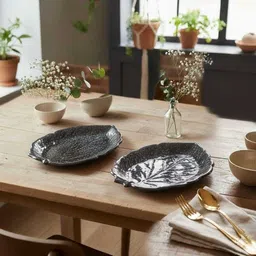 retail mafia Ceramic plate tray dish pack of 2 Servinewg Dishes_new42 Quarter Plate-picture-10