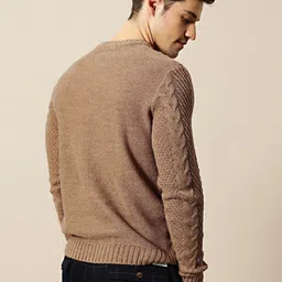 mr bowerbird Men Self Design Round Neck Beige Sweater image 5