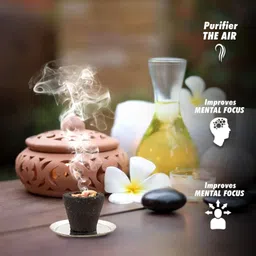 airofine fragrance Special Pure Sambrani Guggal Loban Dhoop Cup 10 pack Guggul image 2