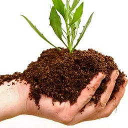 GardenDec1031 Compost for Plants Home Garden Pack 1 KG image 4