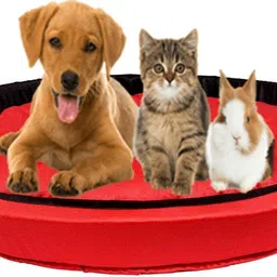 slatters be royal store Premium Quality Velvet Luxury Washable DOG Sofa For All Season Sleeping CatPuppy 4XL Pet Bed-picture-16