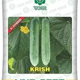 hybride hoo133 Seed-picture-13