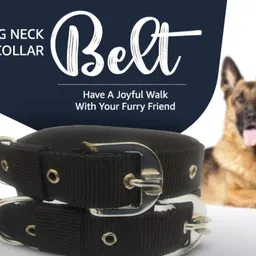 japin Neck Collar Belts for Dog 1.25 inch -Black (Pack of 2) Dog Everyday Collar image 4